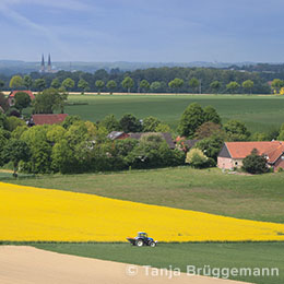 Blick über das Münsterland bei Billerbeck