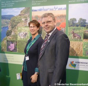 A. Buchsbaum, A. Schnabel, IGW 2016