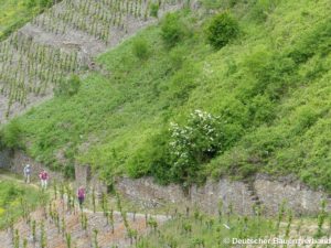 Tourismus in Weinbergen