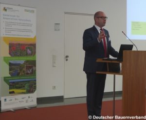 Steffen Pingen, DBV